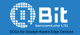 Qbit Semiconductor Ltd, カスタムSocとは – ITET